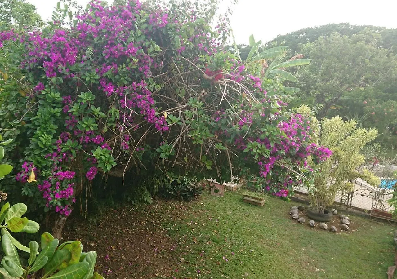 Domaine Le Bougainvillee Petit-Bourg 0*,  Guadeloupe